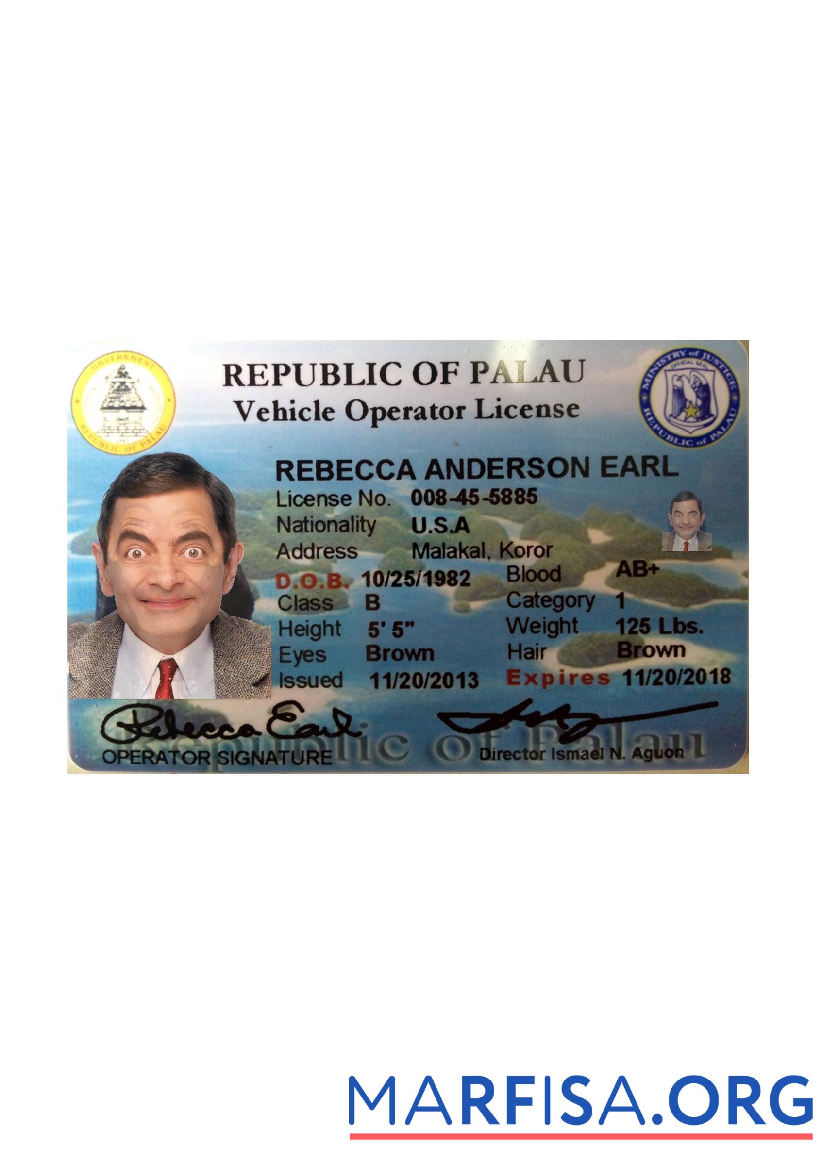 Printable Palau driving license front side download for verification